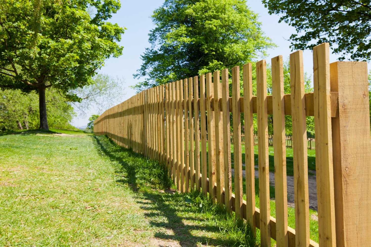 Wooden Fence in Greenery