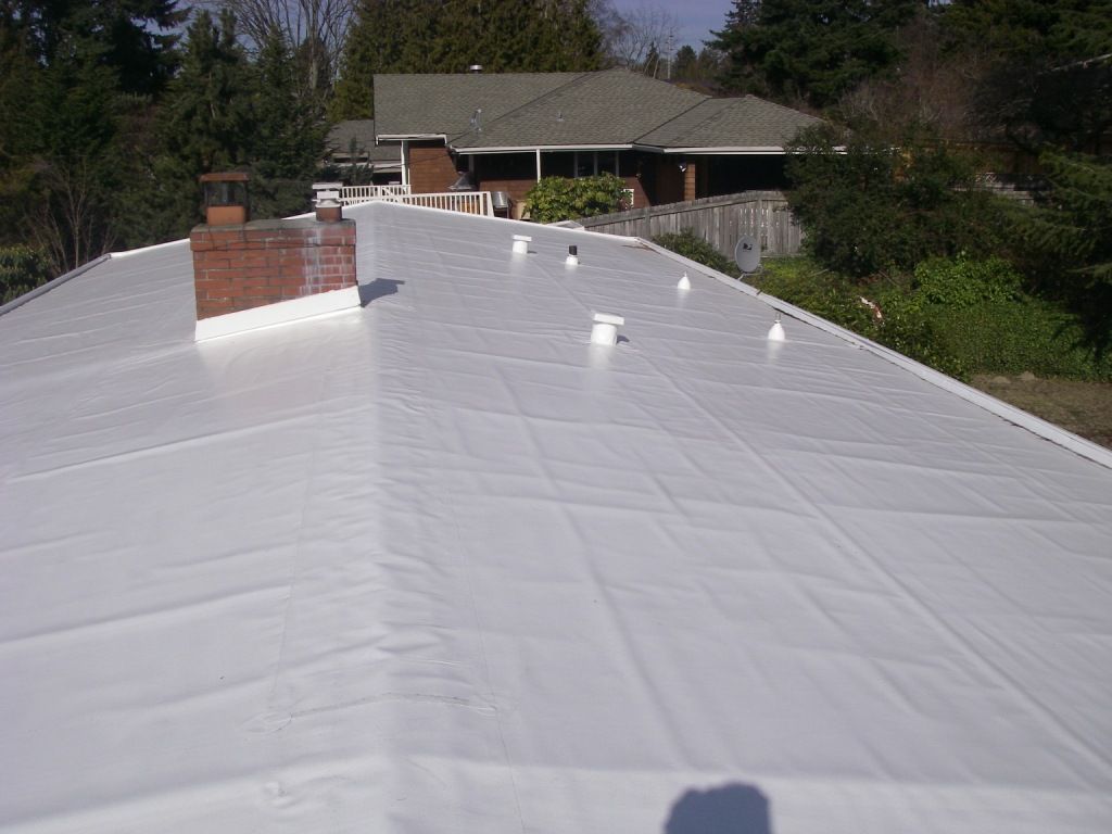 Ethylene Propylene Diene Monomer (EPDM) roofs